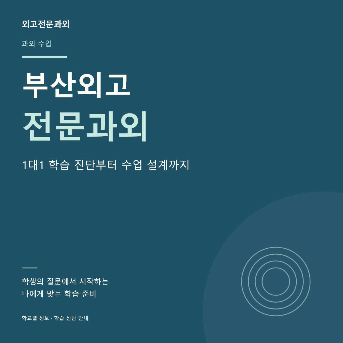부산외고 전문과외 1대1 학습 진단부터 수업 설계까지 — 페이지 썸네일