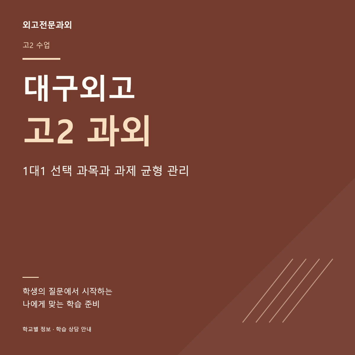 대구외고 고2 과외 1대1 선택 과목과 과제 균형 관리
