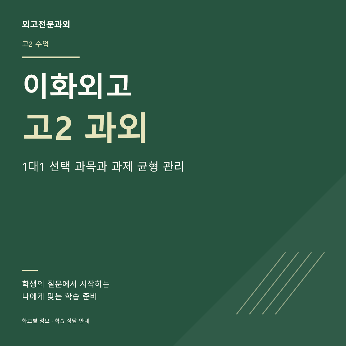 이화외고 고2 과외 1대1 선택 과목과 과제 균형 관리