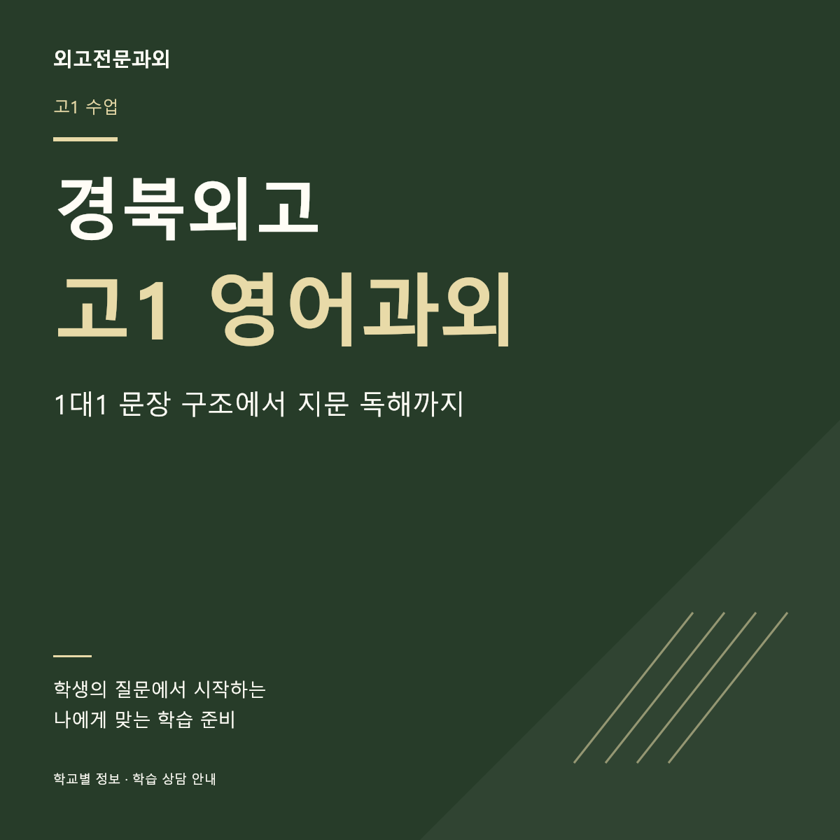 경북외고 고1 영어과외 1대1 문장 구조에서 지문 독해까지
