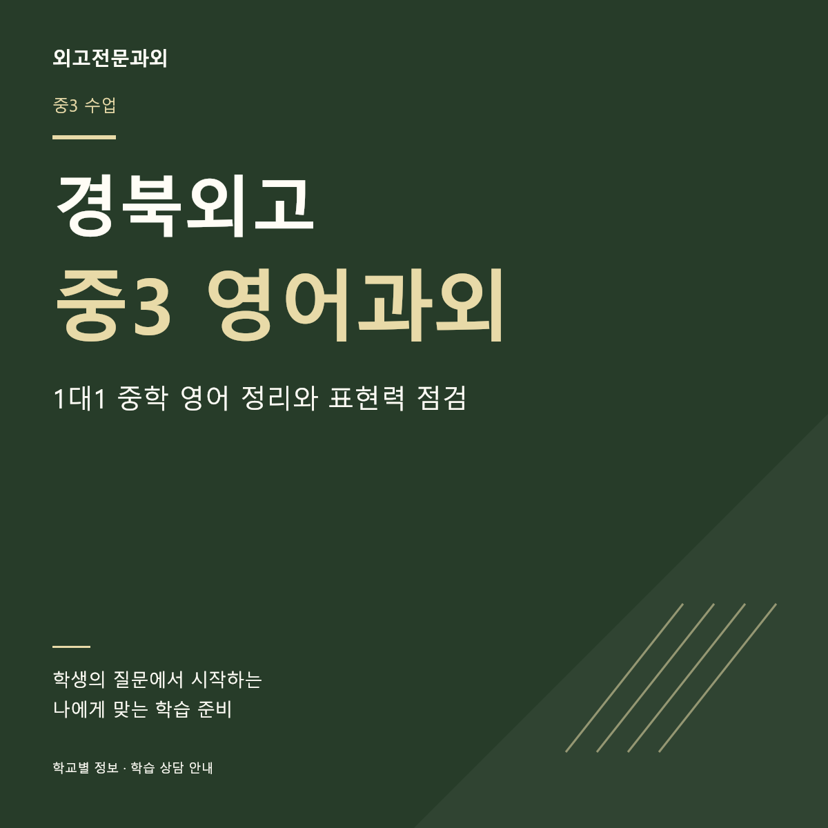 경북외고 중3 영어과외 1대1 중학 영어 정리와 표현력 점검
